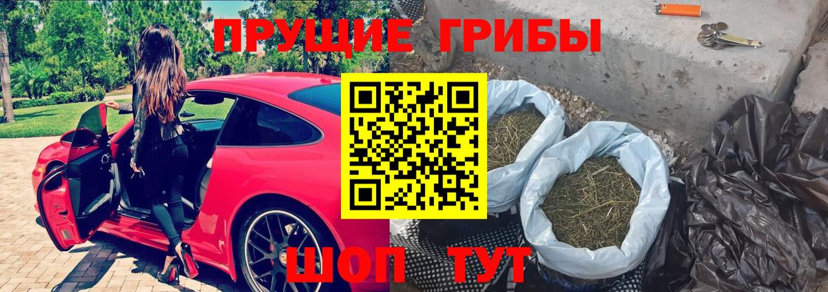 Тосно  где купить   Галлюциногенные грибы GOLDEN TEACHER  Вход с VPN  Галлюциногенные грибы GOLDEN TEACHER 