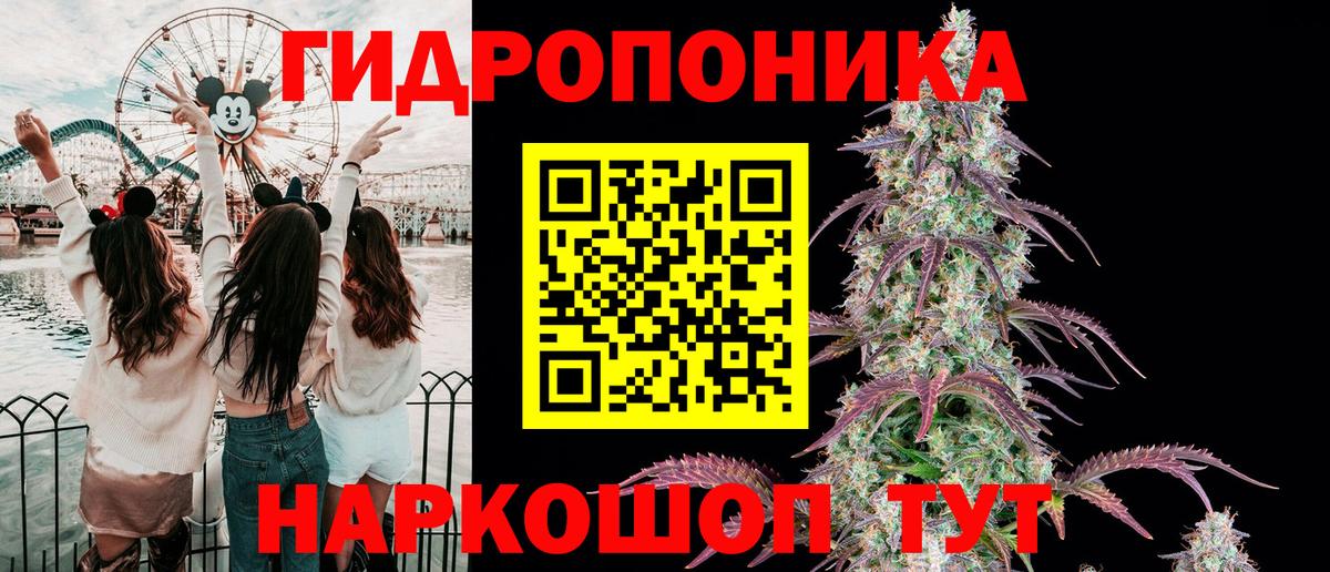 МАРИХУАНА индика  Вход с VPN  Тосно  Бошки марихуана SATIVA & INDICA 